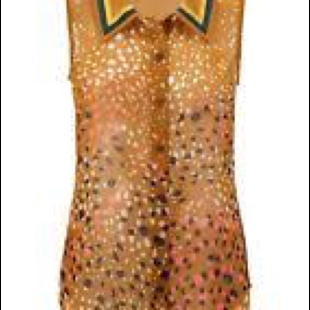 CAbi 3436 Cheers Blouse